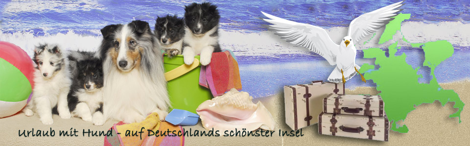 Ferienobjekte mit Hund auf Rügen buchen