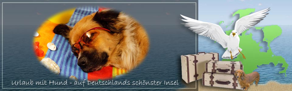 Urlaub mit Hund auf Rügen