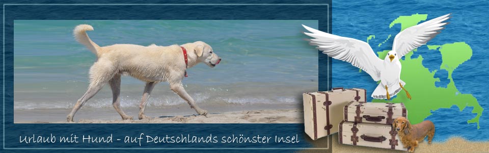 Urlaub mit Haustier